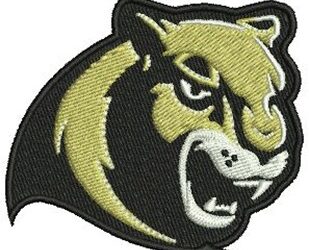 Common Mistakes in Embroidery Digitizing Services and Fixes