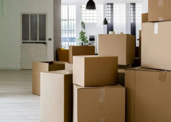 Experience a Stress-Free Relocation with Professional Packing Help