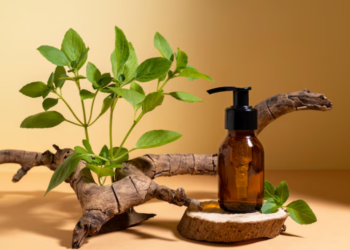 ayurvedic hair care products