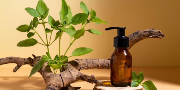 ayurvedic hair care products