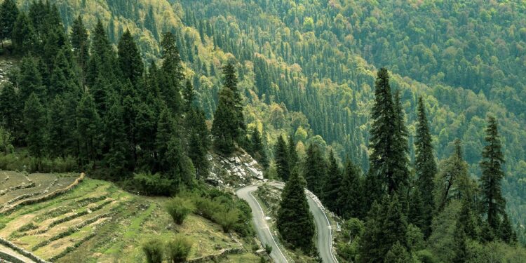 Rajasthan tour packages