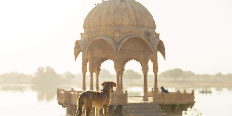 Golden Triangle tour with Goa