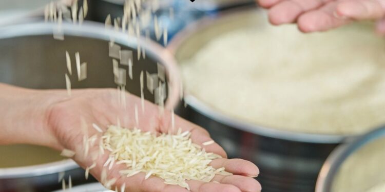 Leading Rice Exporters in India Supplying Global Markets