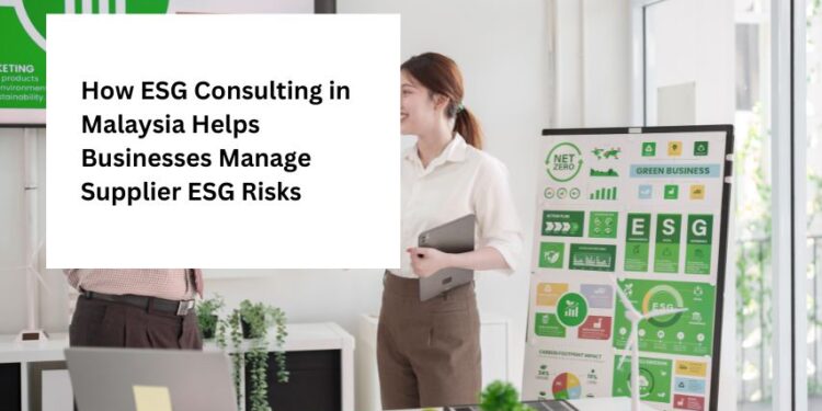 How ESG Consulting in Malaysia Helps Businesses Manage Supplier ESG Risks
