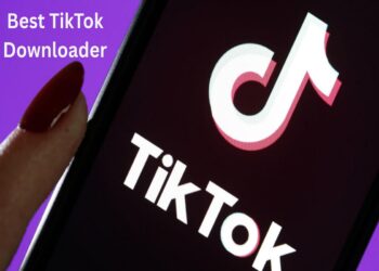 TikTok Downloader