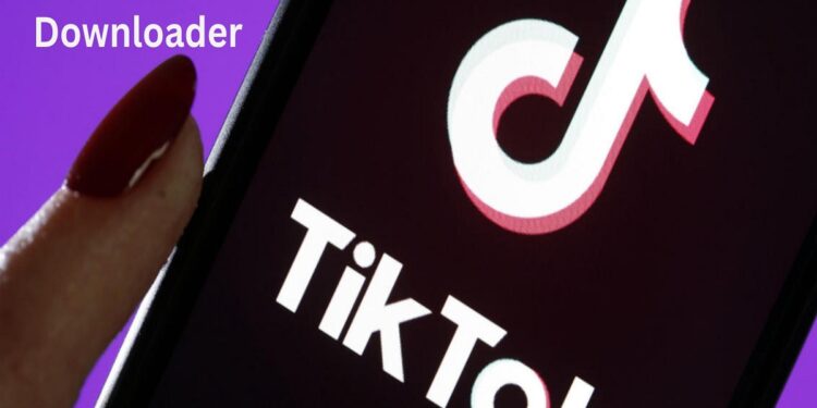 TikTok Downloader
