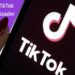 TikTok Downloader