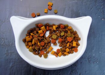 pet food online store