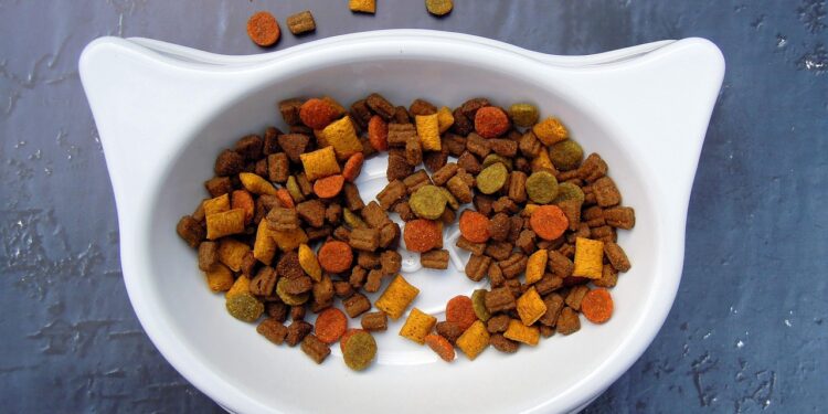 pet food online store