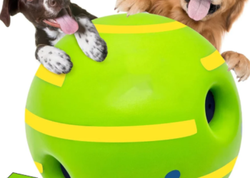 The Ultimate Guide to Choosing a Durable Dog Play Ball for Endless Fun