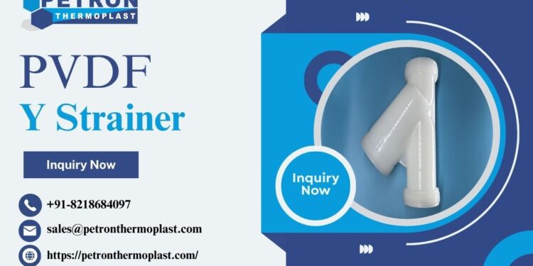 PVDF Y Strainer
