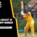 online cricket id whatsapp number