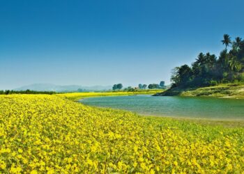 best time to visit Assam