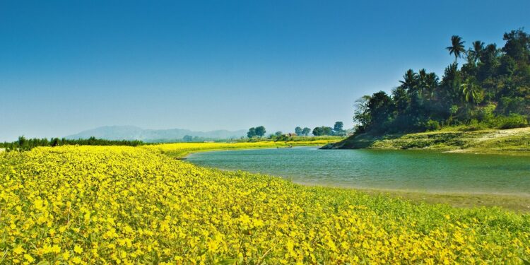 best time to visit Assam