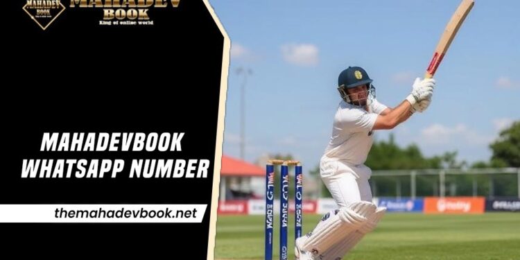 Mahadevbook WhatsApp Number