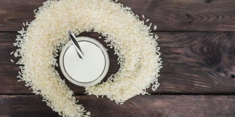 basmati rice supplier in Chennai