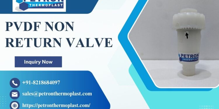 PVDF Non Return Valve