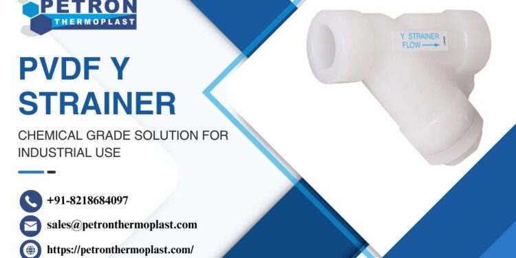 PVDF Y Strainer