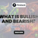 What-is-Bullish-and-Bearish-tmbnl