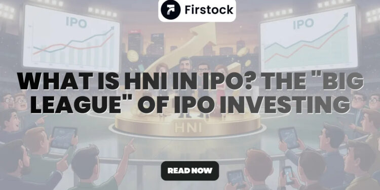 What-is-HNI-in-IPO-Tmbnl