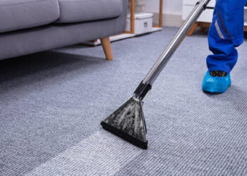 Carpet Cleaning Services That Use Eco-Friendly Solutions
