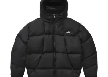 The Role and Significance of the Deputy Department in Modern Governance