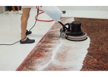 Carpet Cleaning in Perth, WA: Your Guide to Professional Carpet Care