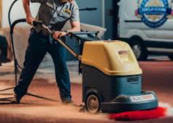 Trusted Carpet Cleaning Companies Perth – Clean & Protect Services