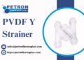 PVDF Y Strainer