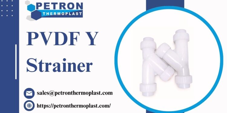 PVDF Y Strainer
