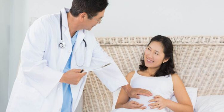 A doctor is checking a pregnant woman (illustration)