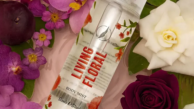 A Simple Guide to Top Feminine Fragrances for Everyday Use