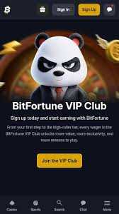 Exciting New Games Added to Bitfortune A Gamer&rsquo;s Paradise