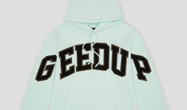 History and Evolution of the Geedup Design