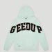 History and Evolution of the Geedup Design