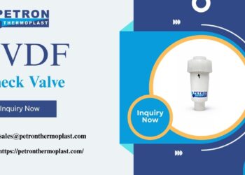 PVDF Check Valve